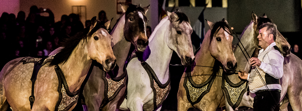 Nuit Iberique 20190207-2314