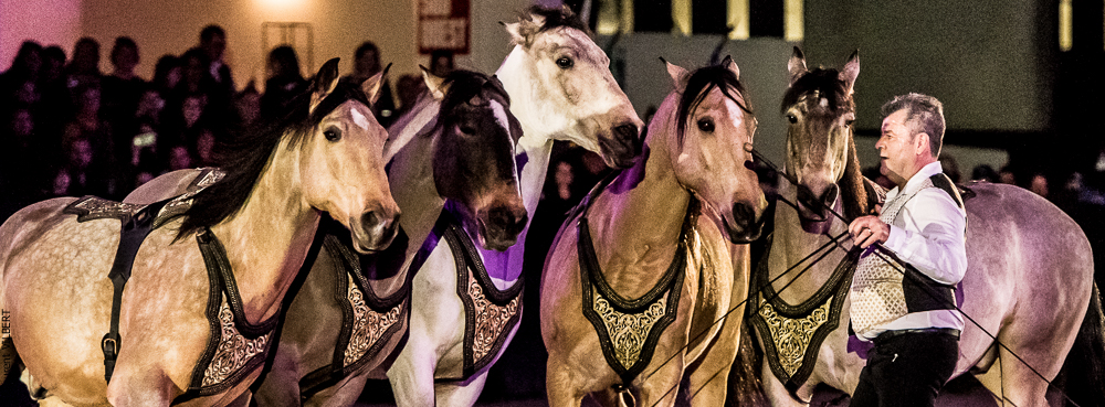 Nuit Iberique 20190207-2317