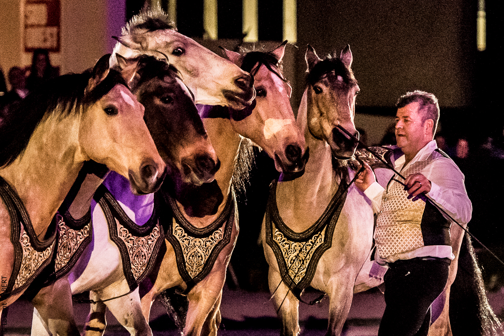 Nuit Iberique 20190207-2318