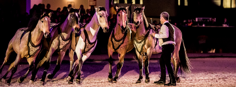 Nuit Iberique 20190207-2319