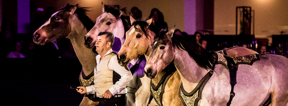 Nuit Iberique 20190207-2321