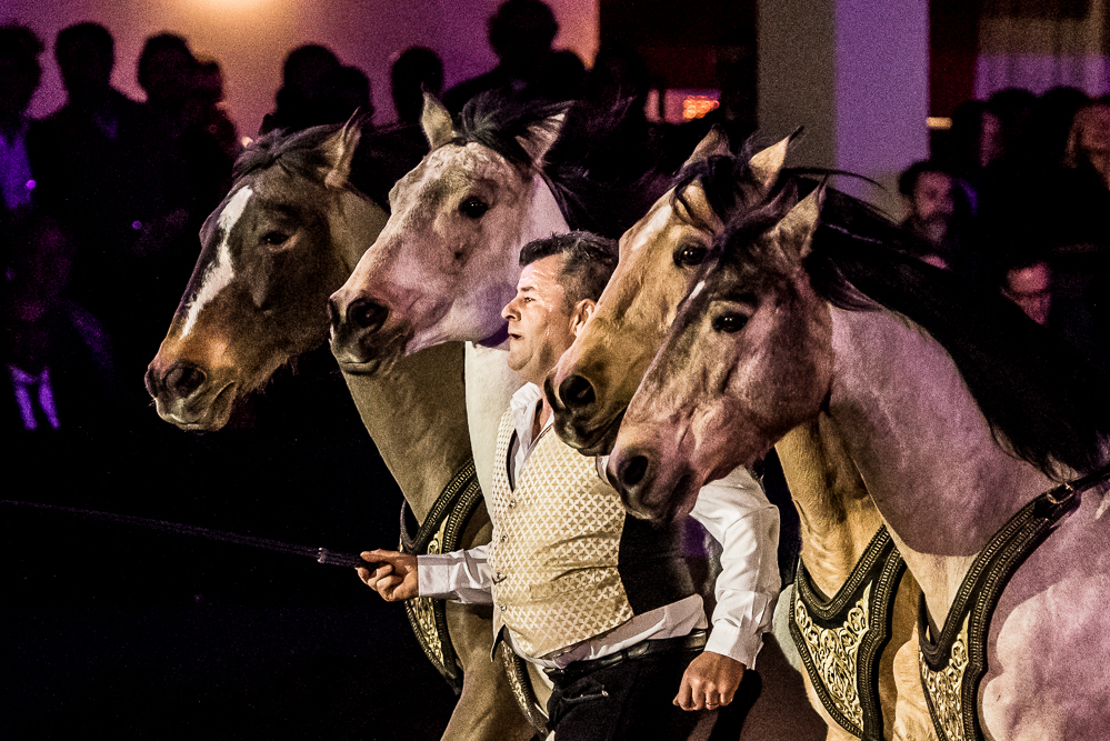 Nuit Iberique 20190207-2330