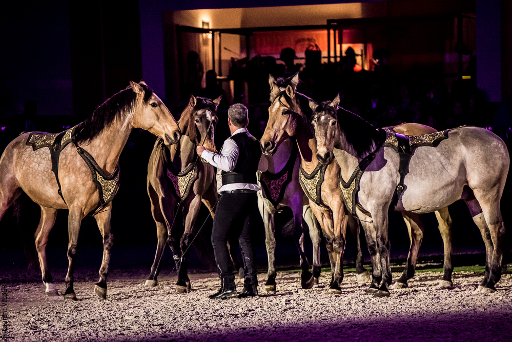 Nuit Iberique 20190207-2333