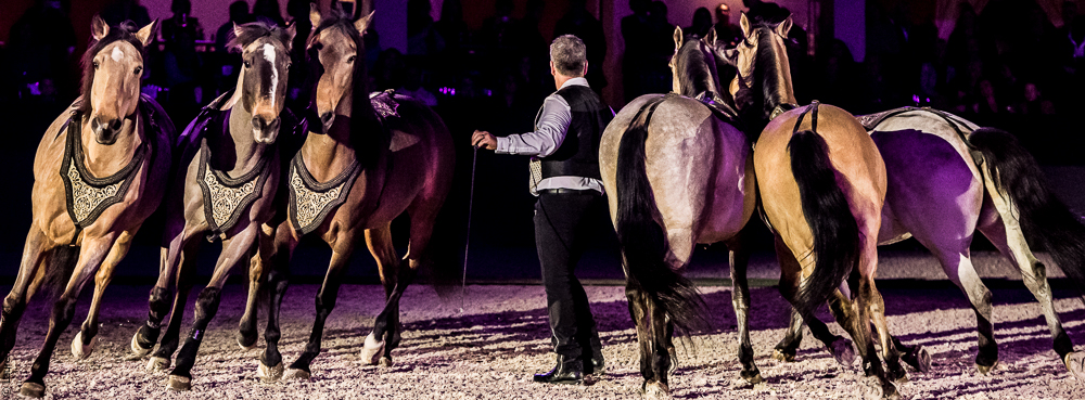 Nuit Iberique 20190207-2343