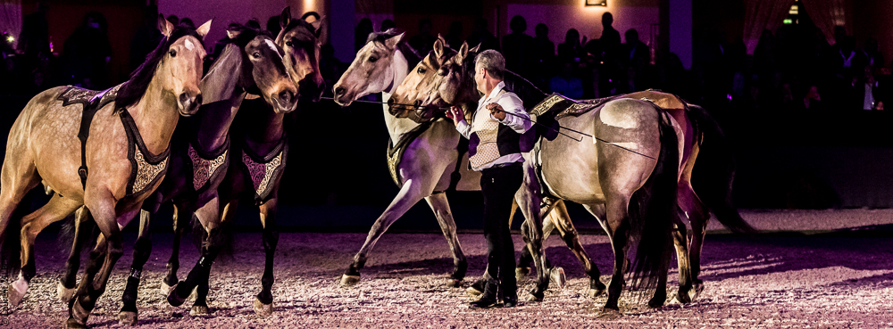 Nuit Iberique 20190207-2347