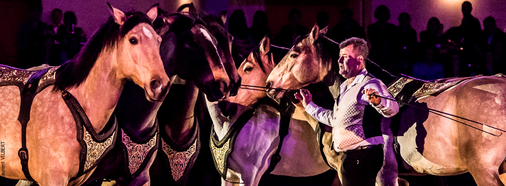 Nuit Iberique 20190207-2348