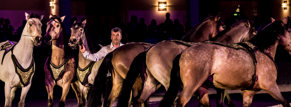 Nuit Iberique 20190207-2350