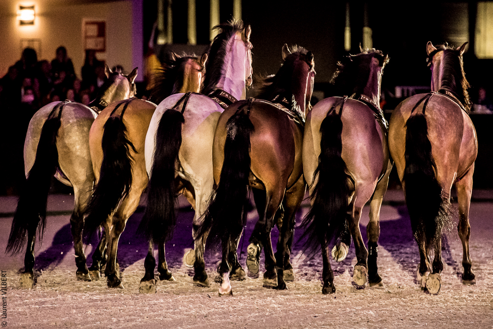 Nuit Iberique 20190207-2356