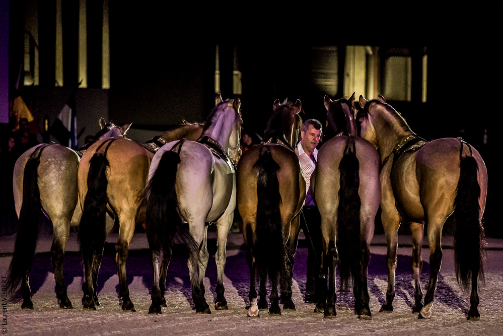 Nuit Iberique 20190207-2359