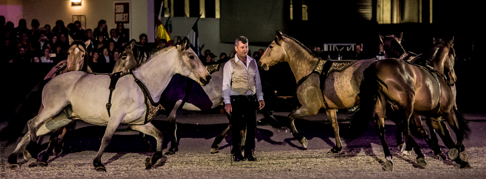 Nuit Iberique 20190207-2370