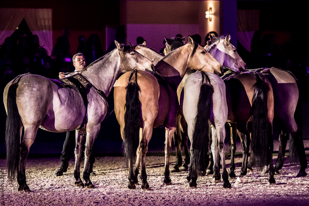 Nuit Iberique 20190207-2396