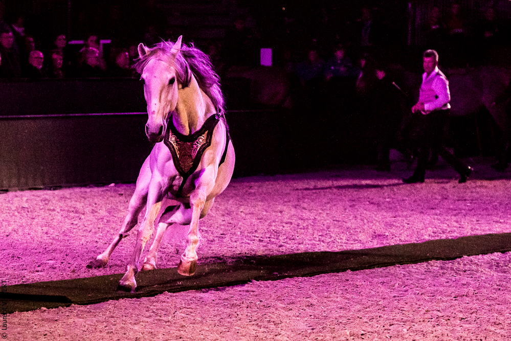 Nuit Iberique 20190207-2401