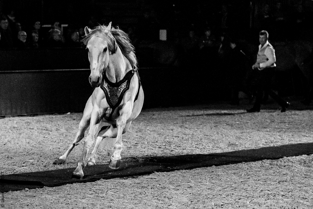 Nuit Iberique 20190207-2401