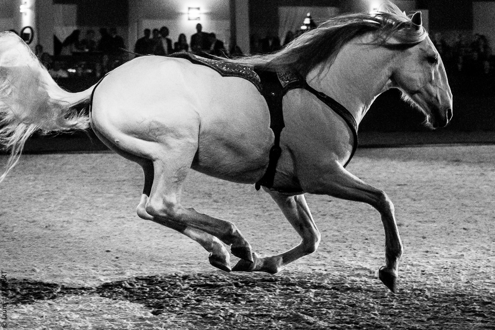 Nuit Iberique 20190207-2407