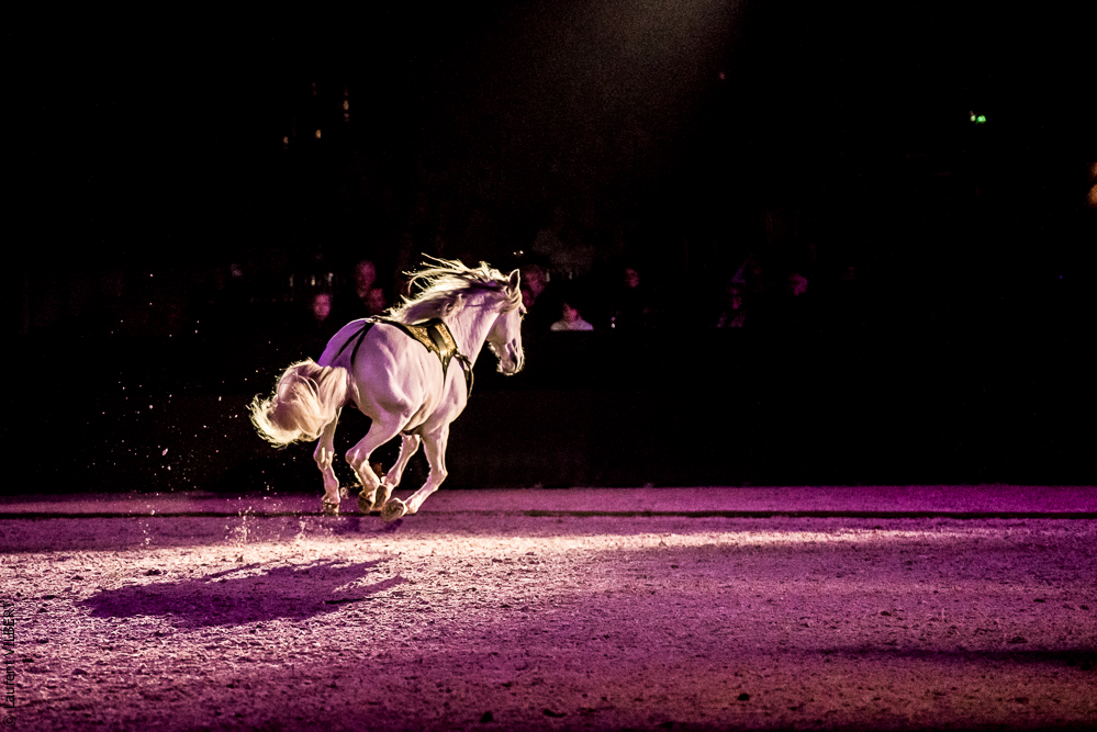 Nuit Iberique 20190207-2412