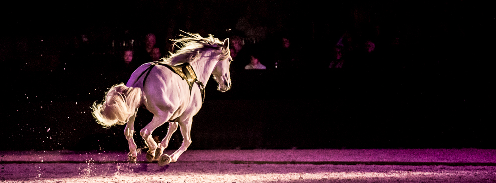 Nuit Iberique 20190207-2412