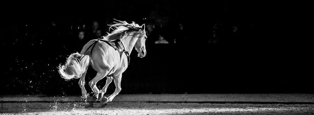 Nuit Iberique 20190207-2412