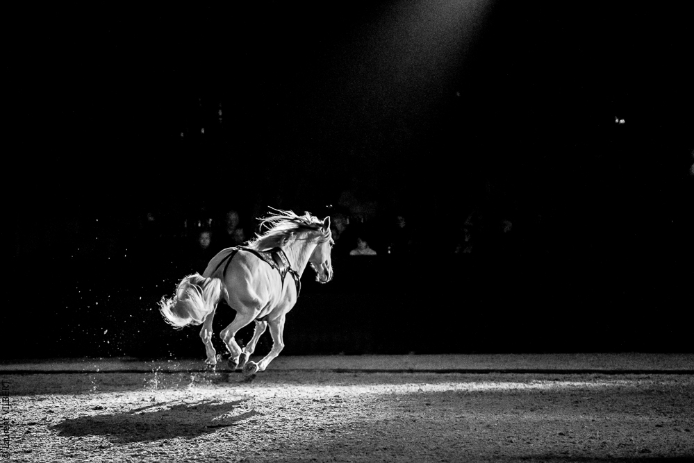 Nuit Iberique 20190207-2412