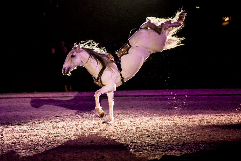 Nuit Iberique 20190207-2419