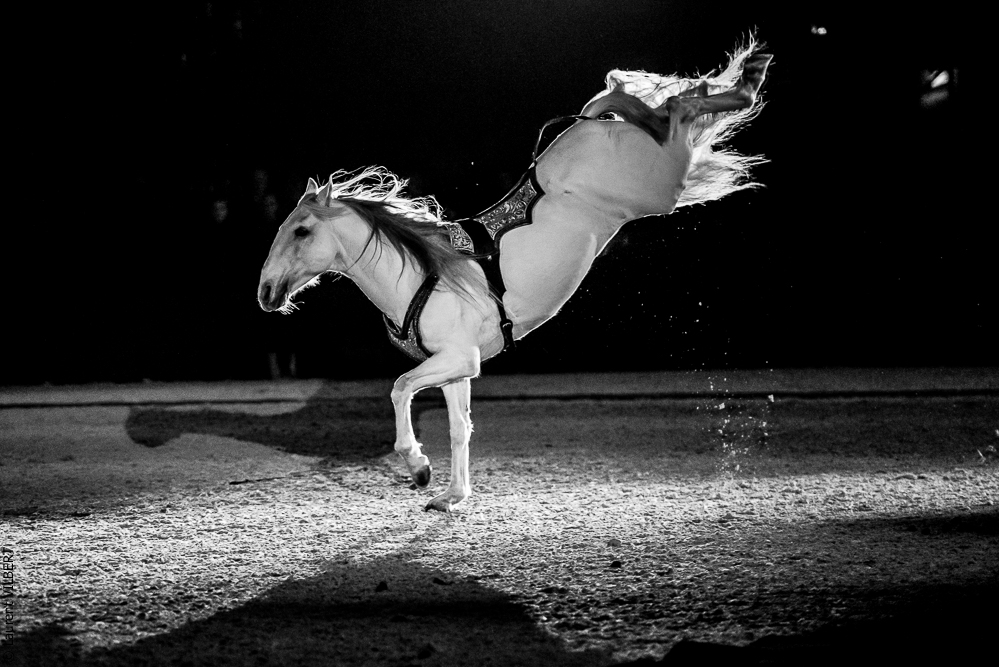 Nuit Iberique 20190207-2419