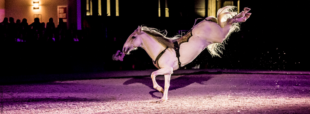 Nuit Iberique 20190207-2421