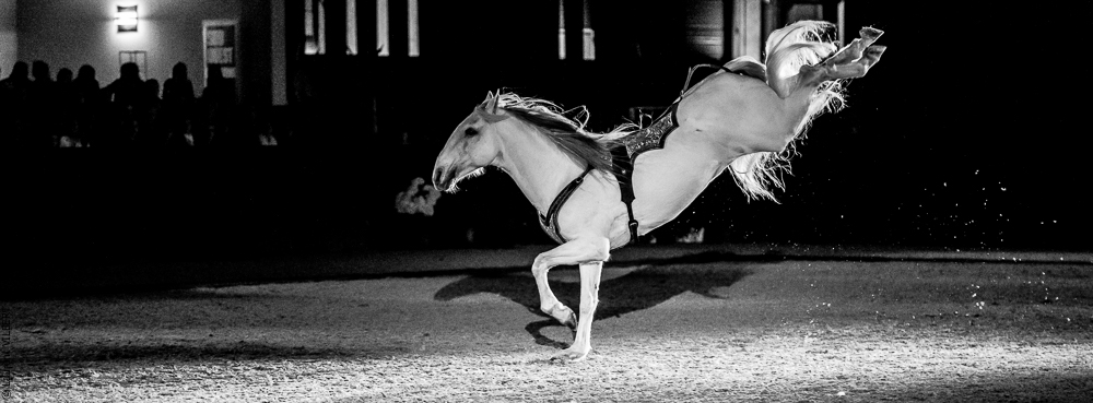 Nuit Iberique 20190207-2421