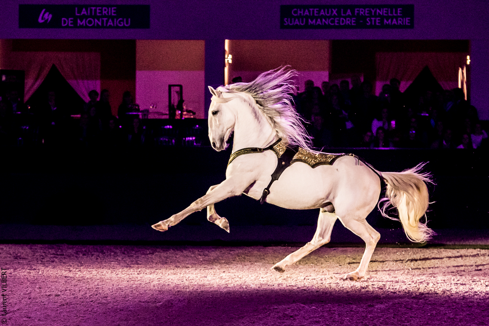 Nuit Iberique 20190207-2425