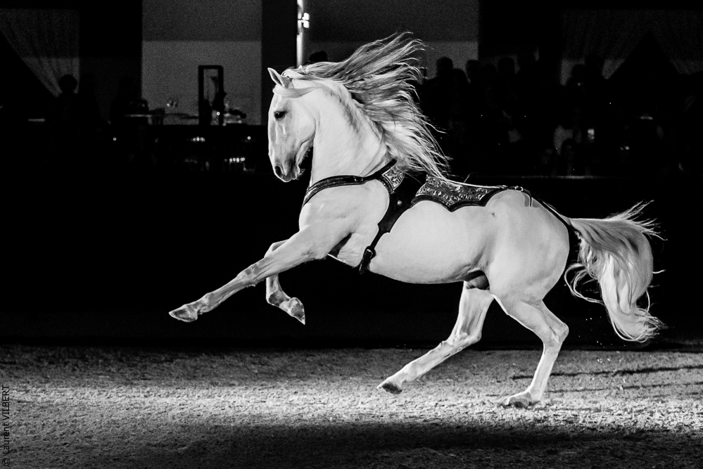 Nuit Iberique 20190207-2425