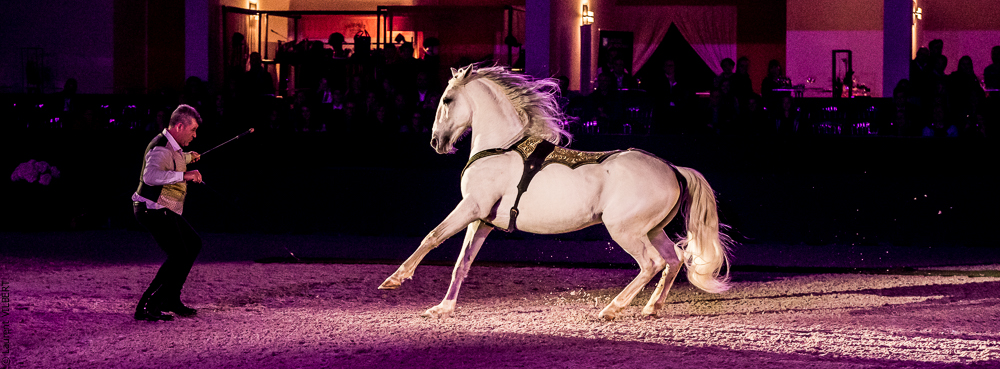 Nuit Iberique 20190207-2427