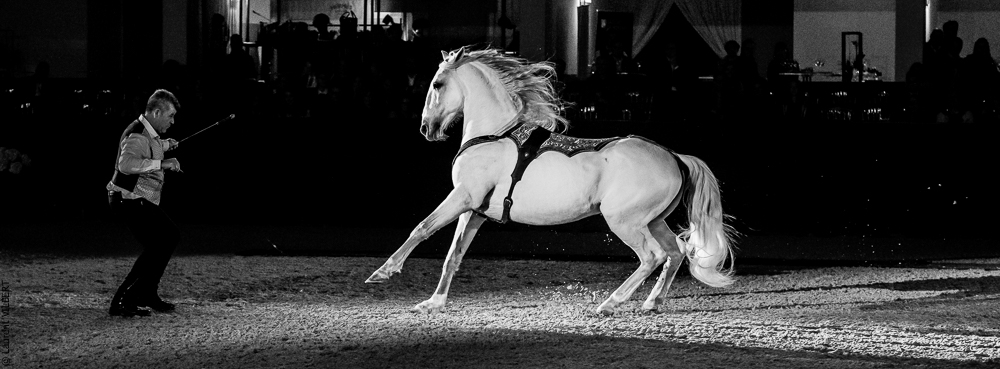 Nuit Iberique 20190207-2427