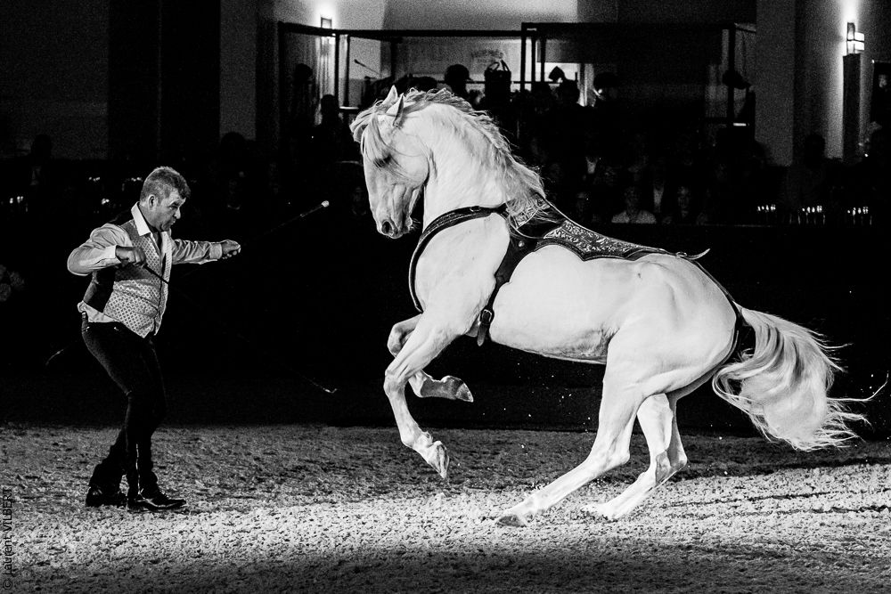 Nuit Iberique 20190207-2428