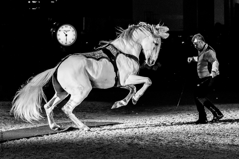 Nuit Iberique 20190207-2431