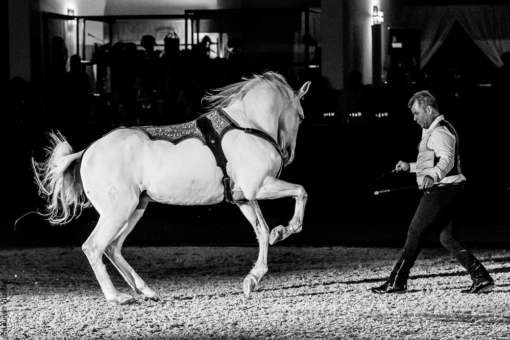 Nuit Iberique 20190207-2435