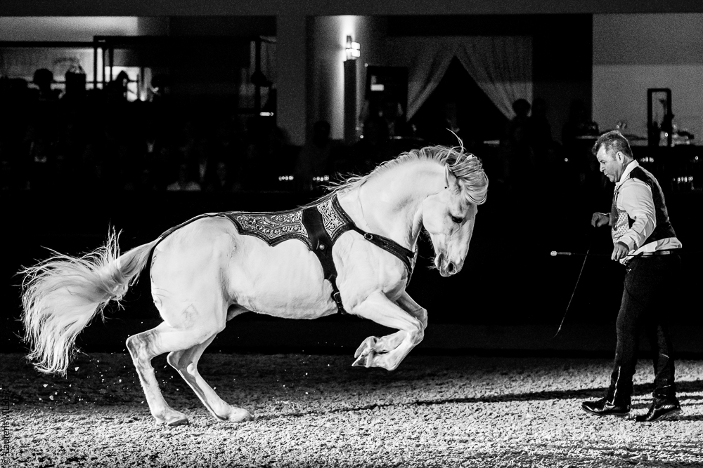 Nuit Iberique 20190207-2436