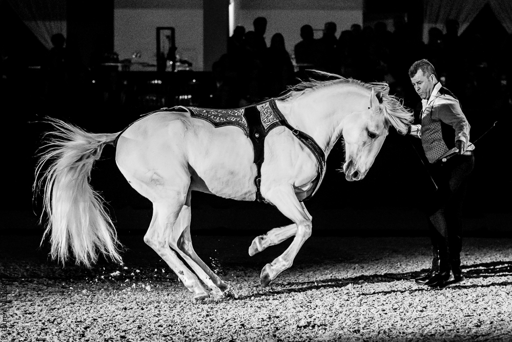 Nuit Iberique 20190207-2439