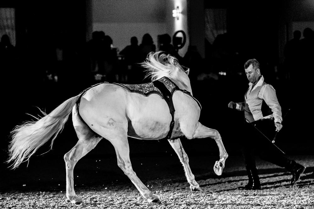 Nuit Iberique 20190207-2442