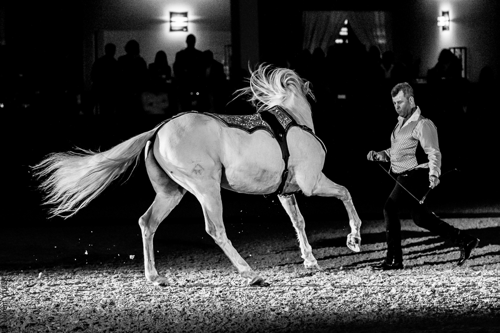 Nuit Iberique 20190207-2444