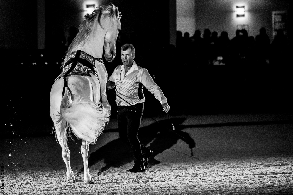 Nuit Iberique 20190207-2450