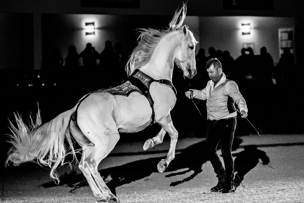 Nuit Iberique 20190207-2452