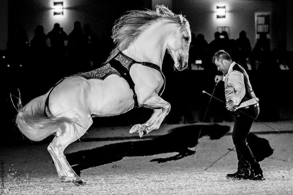 Nuit Iberique 20190207-2453