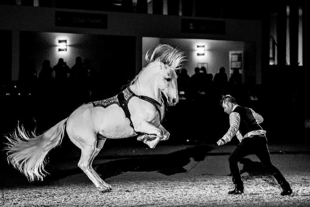 Nuit Iberique 20190207-2455