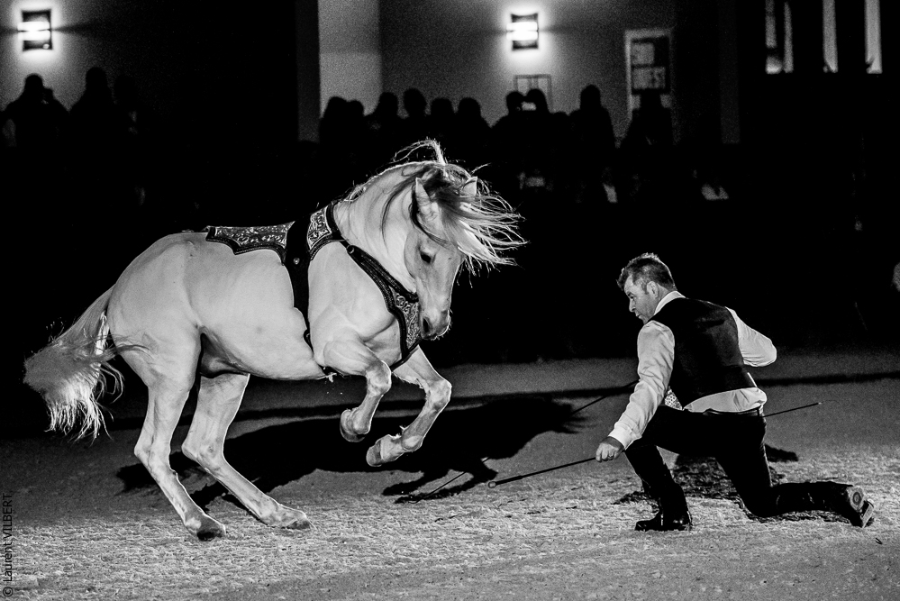 Nuit Iberique 20190207-2457