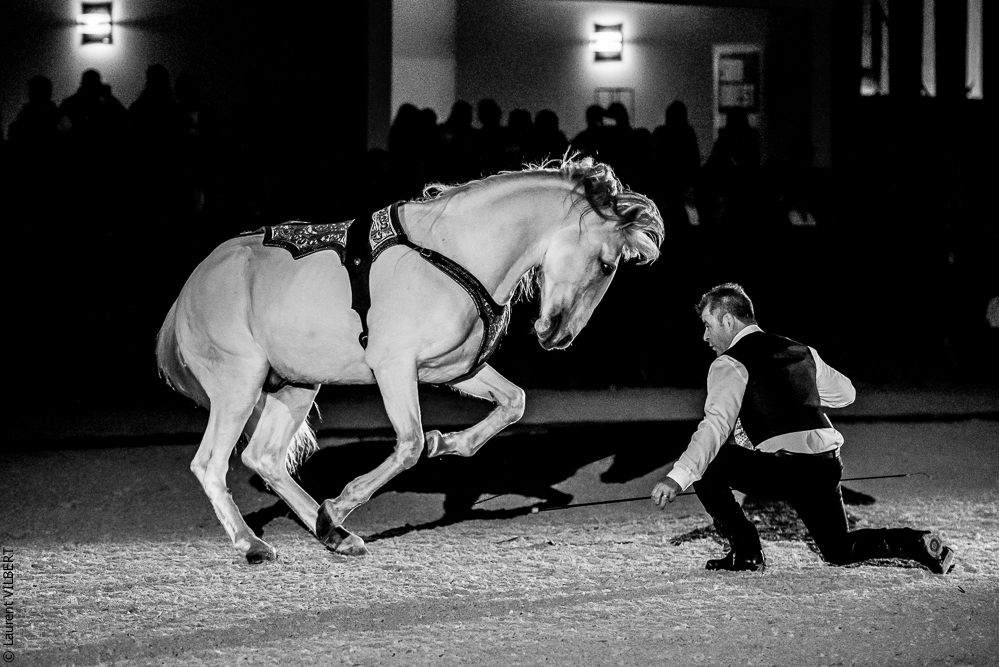 Nuit Iberique 20190207-2458