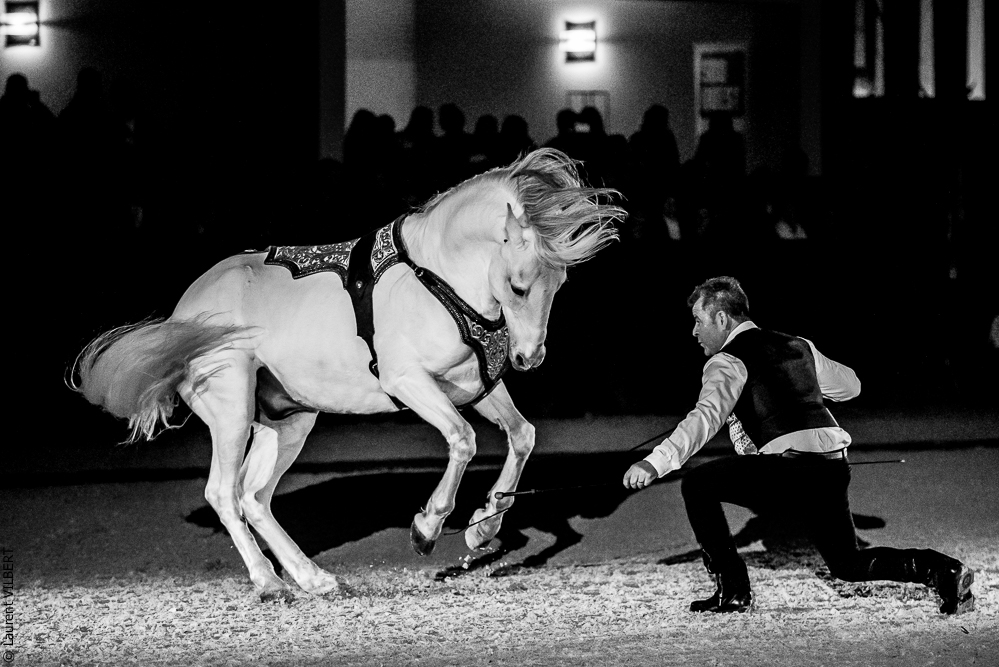 Nuit Iberique 20190207-2460