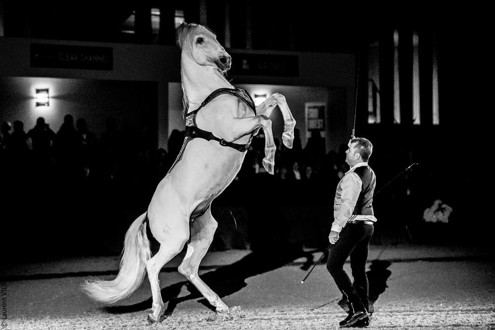 Nuit Iberique 20190207-2463