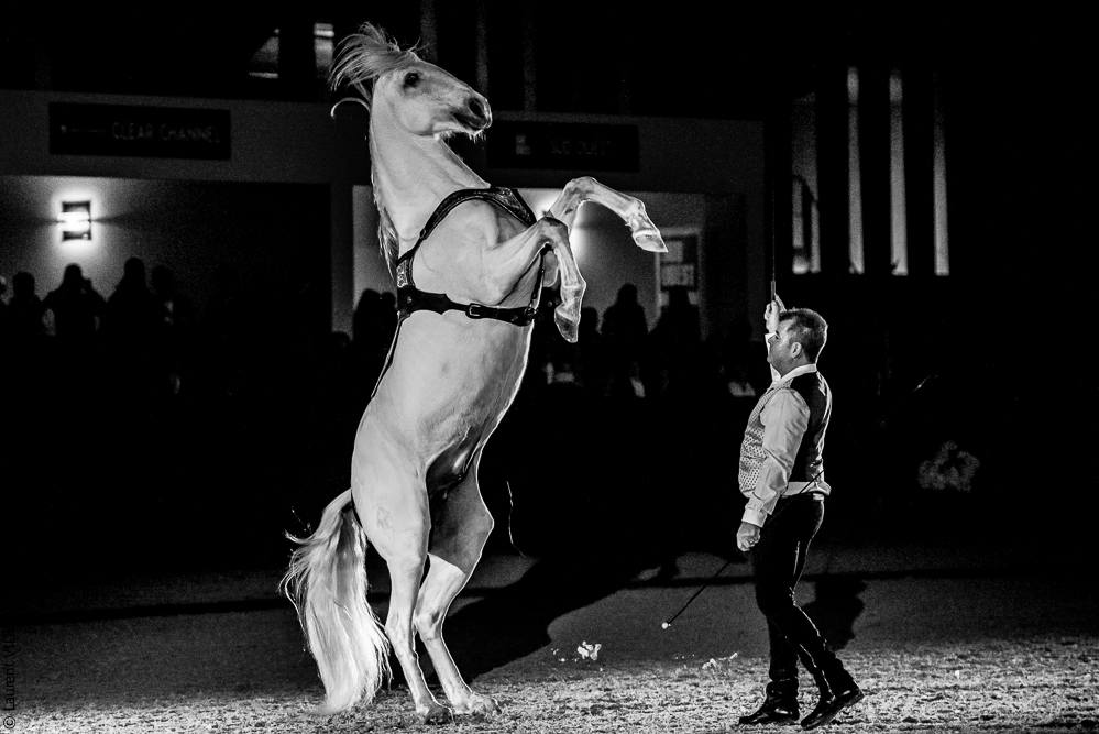 Nuit Iberique 20190207-2464