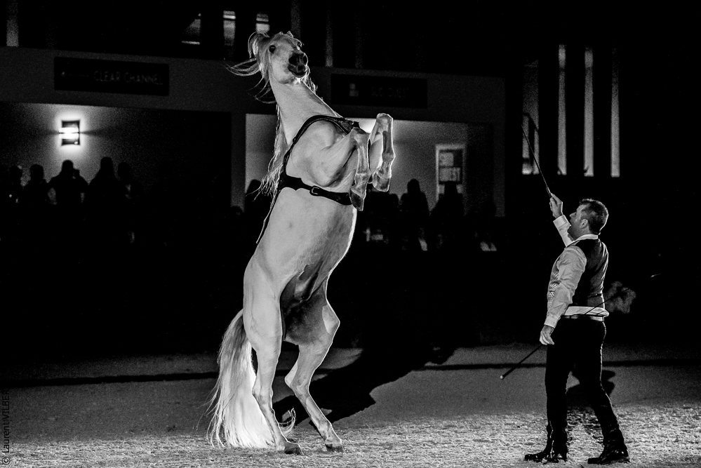 Nuit Iberique 20190207-2466