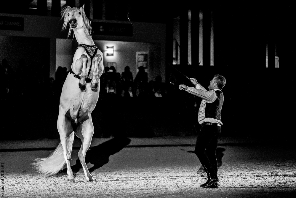 Nuit Iberique 20190207-2468