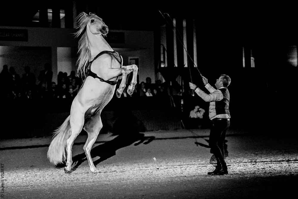 Nuit Iberique 20190207-2472