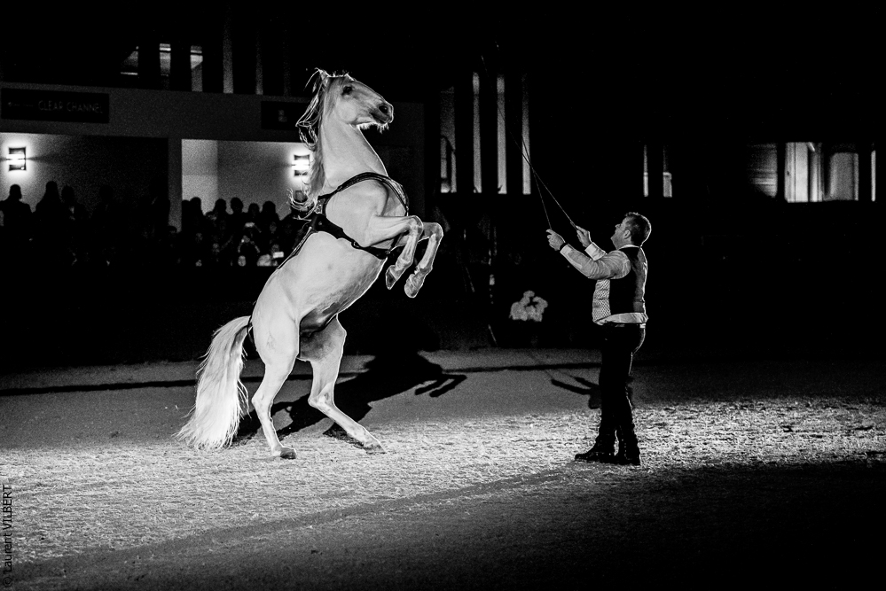 Nuit Iberique 20190207-2474